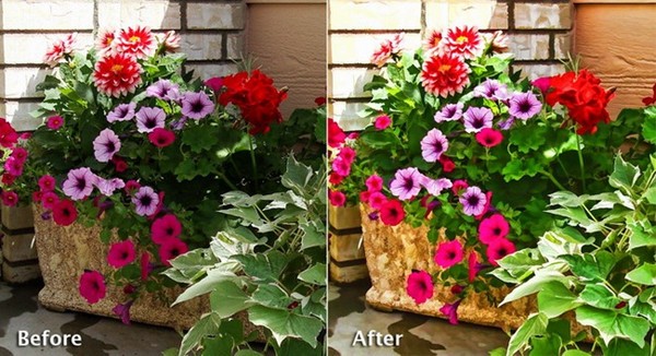 【Topaz Simplify汉化版】Topaz Simplify中文版下载 v4.1.1 激活版