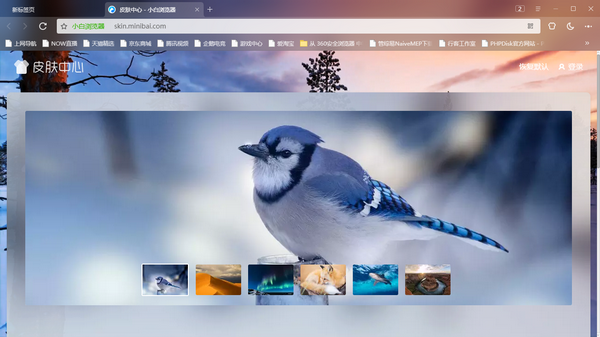 【minibai官方版下载】小白浏览器(minibai) v10.3.3804.1667 官方版