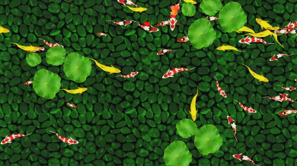 【荷花池鱼地面互动下载】荷花池鱼地面互动 v2.0.1 官方版