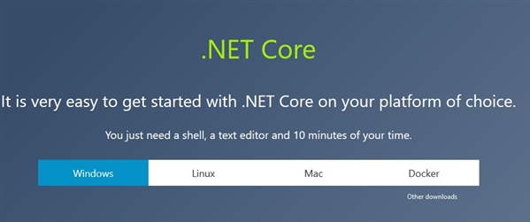 【Microsoft .NET Core下载】Microsoft .NET Core v3.1.11 官方版