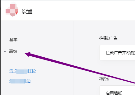 欧朋浏览器国际版怎么开VPN