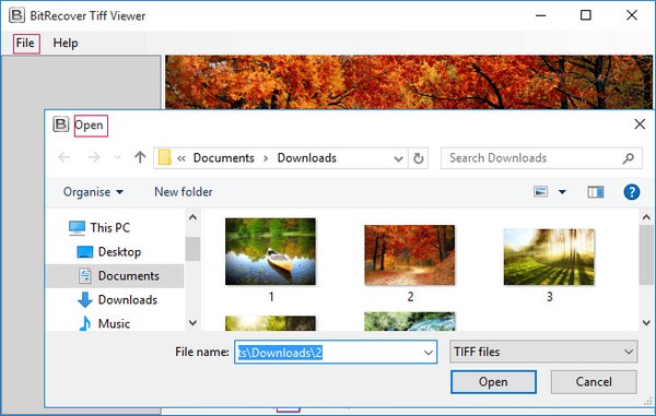 【BitRecover Tiff Viewer官方版下载】BitRecover Tiff Viewer(TIFF文件查看器) v2.2 官方版