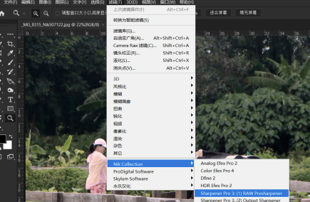 Nik Collection2020破解版怎么在ps里面不显示