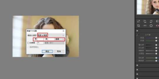 Polarr Photo Editor电脑版怎么调整大小