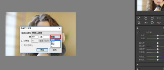 Polarr Photo Editor电脑版怎么调整大小