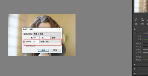 Polarr Photo Editor电脑版怎么调整大小