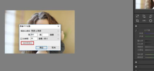 Polarr Photo Editor电脑版怎么调整大小