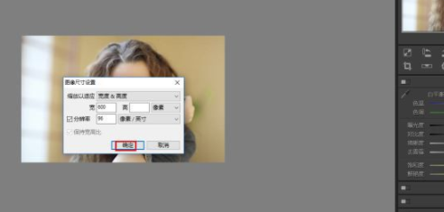 Polarr Photo Editor电脑版怎么调整大小