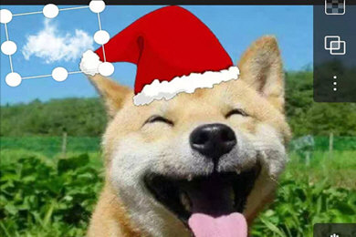 Polarr Photo Editor电脑版怎么换背景