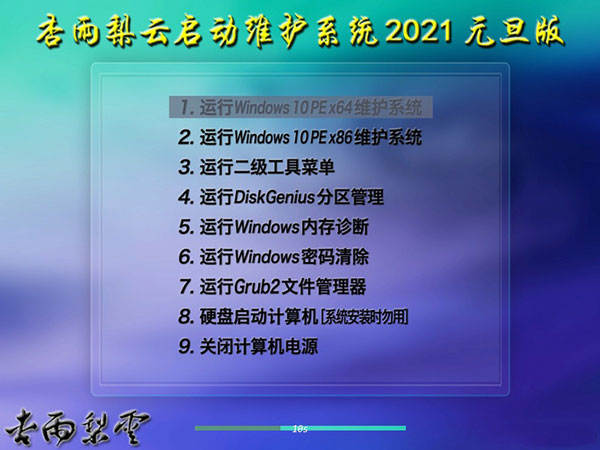 【杏雨梨云U盘系统2021下载】杏雨梨云启动维护系统2021元旦版 v2021 官方最新版