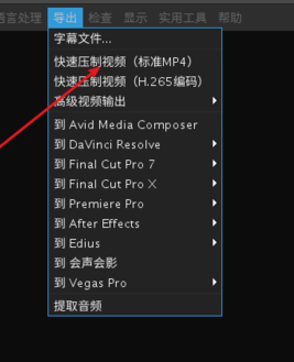 Aegisub绿色版字幕怎么和视频合并