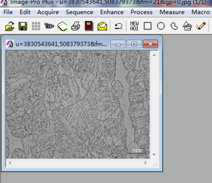 Image Pro Plus破解版怎么加标尺