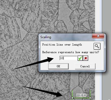 Image Pro Plus破解版怎么加标尺