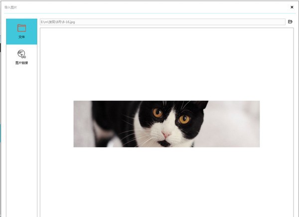 摹客破解版使用方法