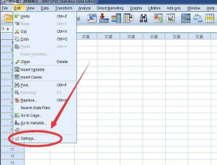 SPSS17.0中文破解版怎么设置中文