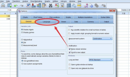 SPSS17.0中文破解版怎么设置中文