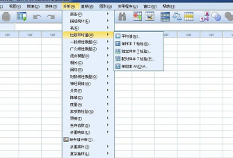 SPSS17.0中文破解版怎么设置中文