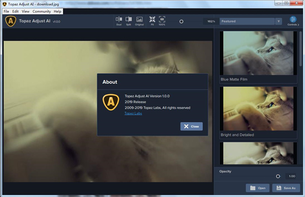 【Topaz Adjust AI汉化版下载】Topaz Adjust AI中文激活版 v1.0.5 绿色版