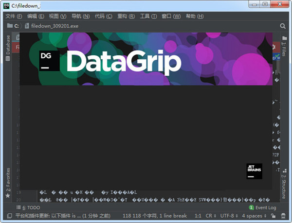 【JetBrains DataGrip2020激活版下载】JetBrains DataGrip激活版 v2020.1 中文免费版