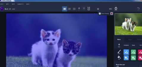 Topaz Mask AI怎么用