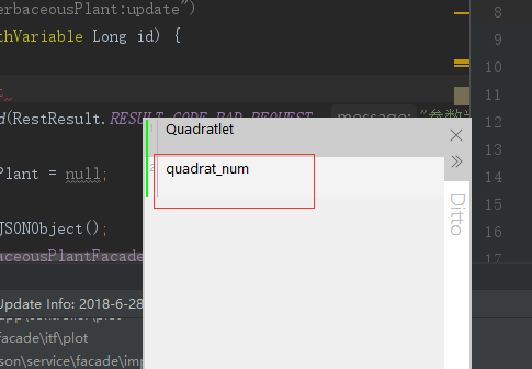 Ditto软件使用教程截图3