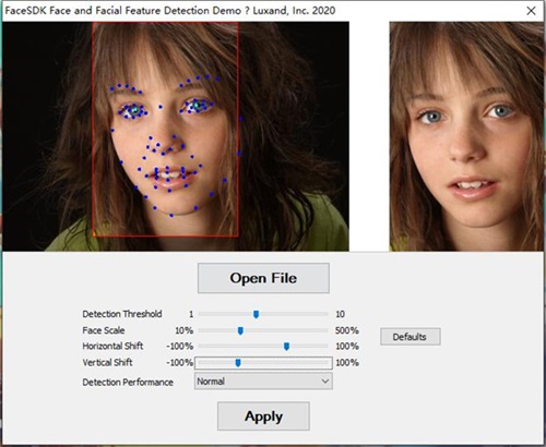 【Luxand FaceSDK激活版】Luxand FaceSDK下载 v7.1 中文版