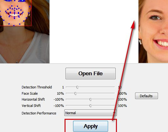Luxand FaceSDK破解版使用方法