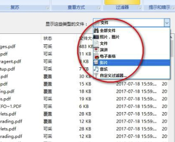 Diskdigger Pro电脑版使用方法