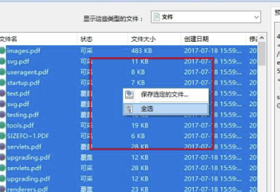 Diskdigger Pro电脑版使用方法
