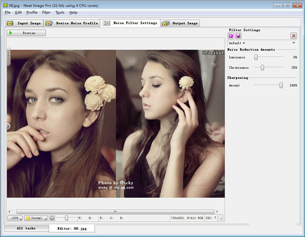 【Neat Image Pro汉化中文版】Neat Image Pro滤镜下载 v7.6 免费激活版