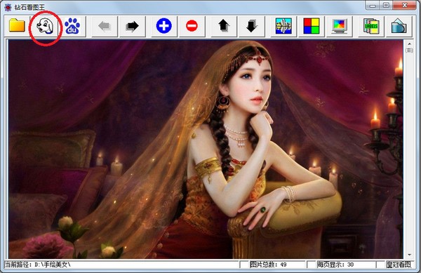 钻石看图王破解版