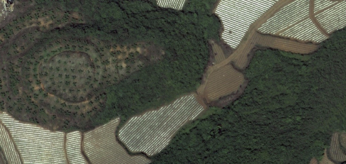 ArcGIS中文破解版怎么裁剪影像图