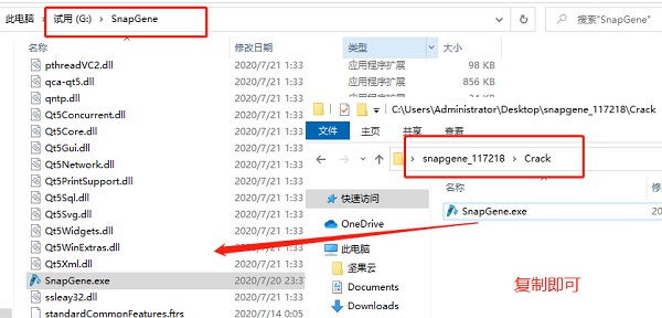 SnapGene破解版安装教程截图6