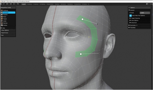 【RetopoFlow下载】RetopoFlow免费版 v3.0 中文版