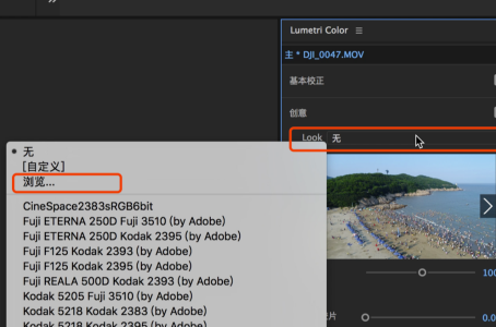 3D LUT Creator中文完美汉化版怎么装到pr