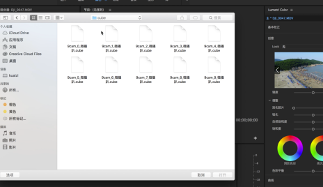 3D LUT Creator中文完美汉化版怎么装到pr