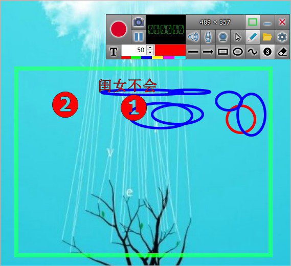 Soft Screen Recorder破解版使用教程截图7