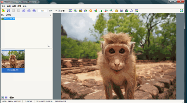 【FastStone MaxView下载】FastStone MaxView绿色版 v3.3 中文版