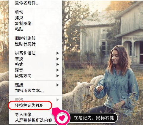 印象笔记怎么导出pdf1