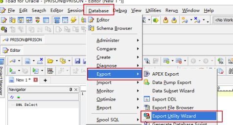 Toad for Oracle最新版对数据库导入和导出操作教程