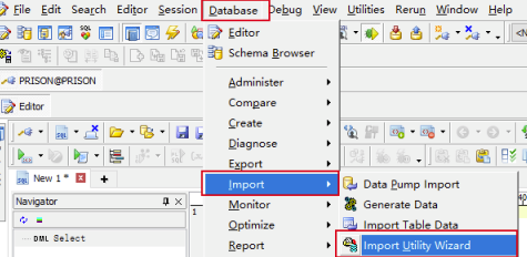 Toad for Oracle最新版对数据库导入和导出操作教程