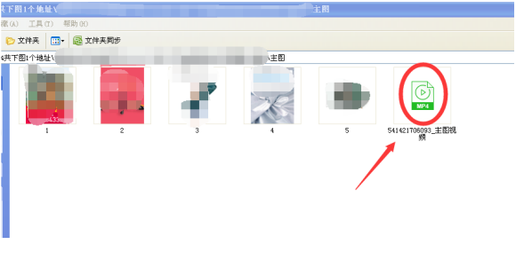 电商图片助手破解版怎么下载视频