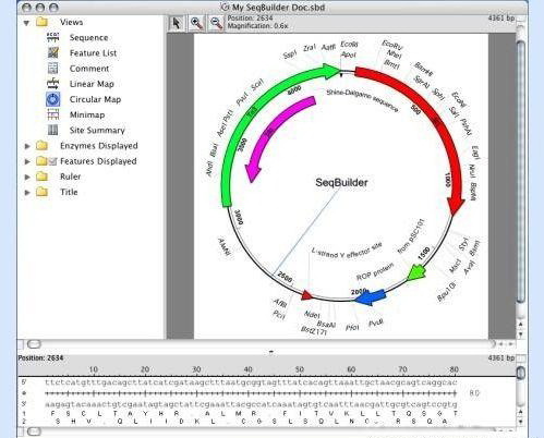 【DNAStar激活版】DNAStar软件下载 v12.1 中文激活版(附安装教程+激活码)