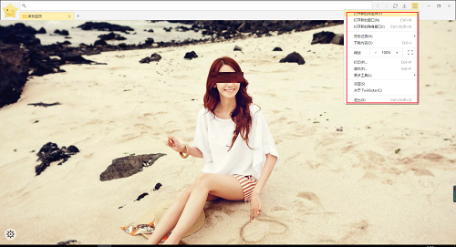 星愿浏览器截图