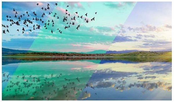 【ColorDirector激活版下载】ColorDirector8绿色中文版 v6.0.2 免费激活版