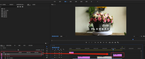 PR2020中文破解版怎么加字幕