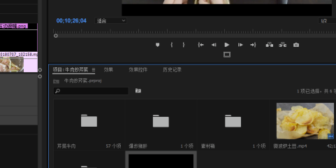 PR2020中文破解版怎么导出字幕版