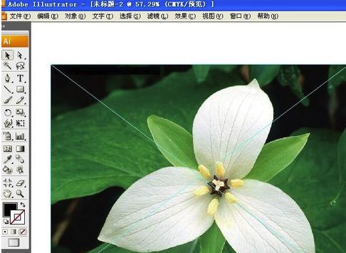 Adobe Illustrator CS5破解版怎么抠图