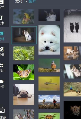 MAKA2020破解版怎么插入图片