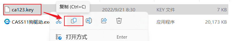 CASS 11破解版下载安装教程-11